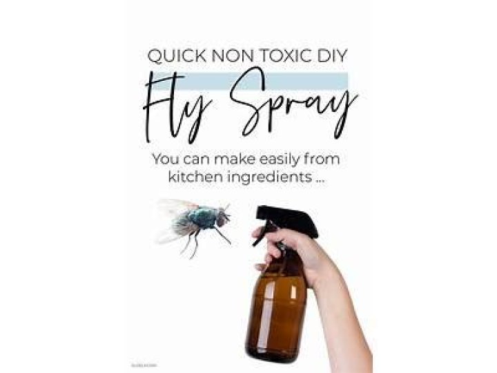 How to Kill Flies with a Squirt Bottle: Effective Techniques and Tips