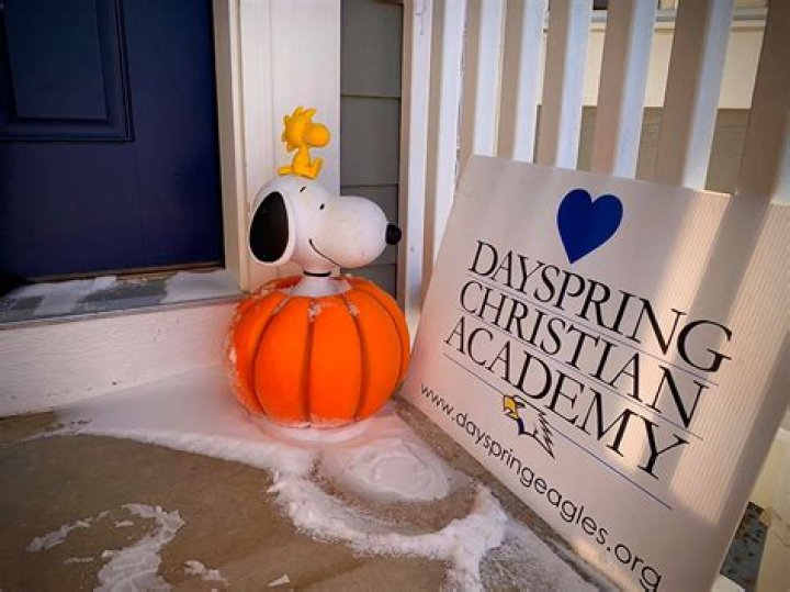 How Many Dayspring: A Comprehensive Exploration of Dayspring Count and Its Significance