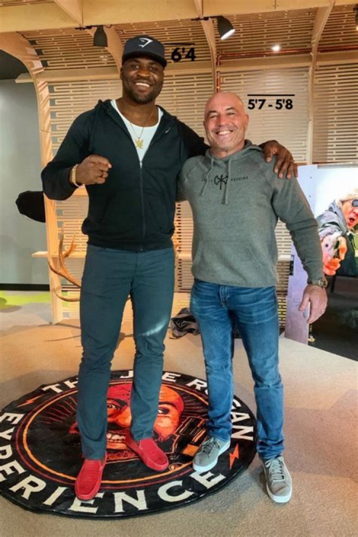 What's Joe Rogan's Height: Unraveling the Enigma
