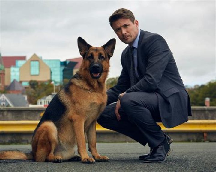 Unleashing the Mystery: The Charismatic Duo of Hudson and Rex