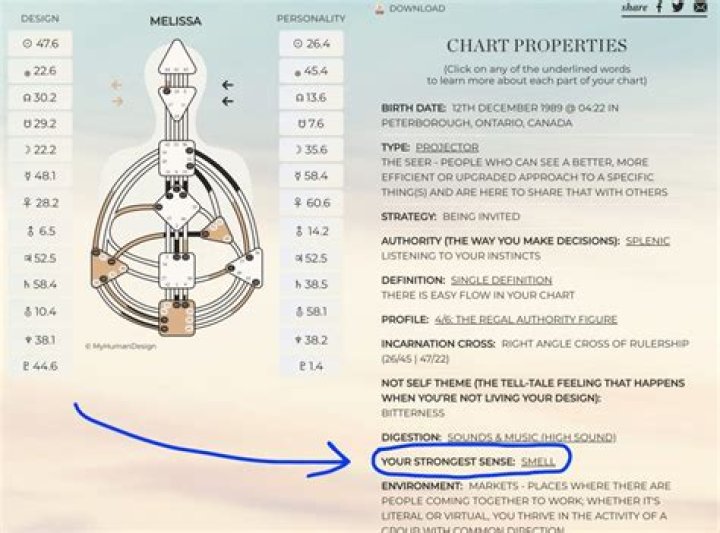 Exploring the Depths of Human Design Sense Judgement