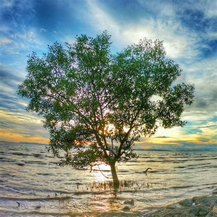 Unveiling IMI WAN: The Ultimate Guide to Her Life, Career, and Achievements