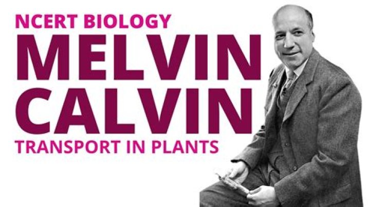 Unraveling the Life of Phillip Calvin McGraw