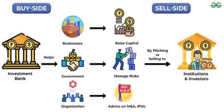 Understanding the Dynamics of Investment: A Comprehensive Guide for Shareholders