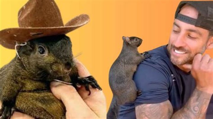 Is Bill Hemmer Leaving Fox? Exploring the Rumors and Facts