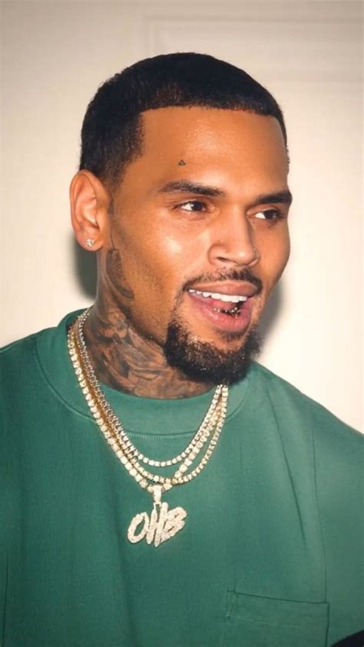 Unveiling Chris Brown's Heritage: Is Chris Brown Mixed Race?