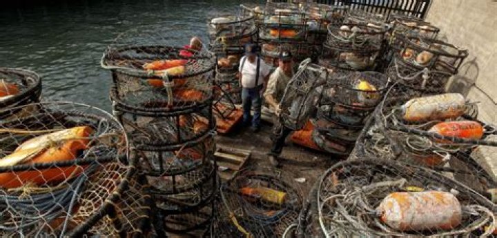 Is Crab Fishing Dangerous? A Comprehensive Guide