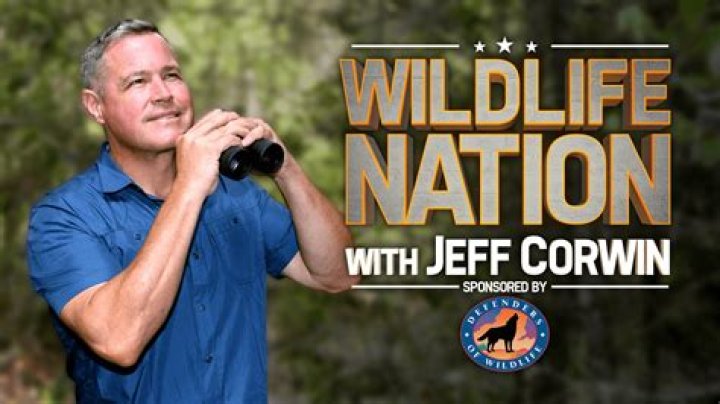 Is Jeff Corwin Still Alive? Unveiling the Life of the Beloved Wildlife Conservationist