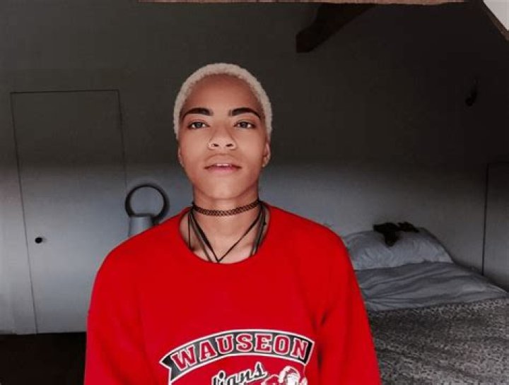 Unveiling the Life of Izaak Theo Adu: A Journey of Passion and Talent