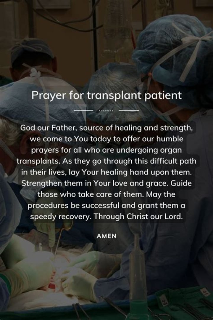 Jackerman A Mother's Warmth 3: A Comprehensive Guide to Understanding Its Impact and Importance