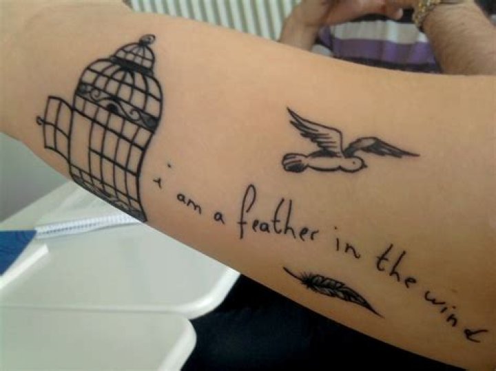 Exploring the World of Jade Magnetic Zeros Drugs: The Future of Healing