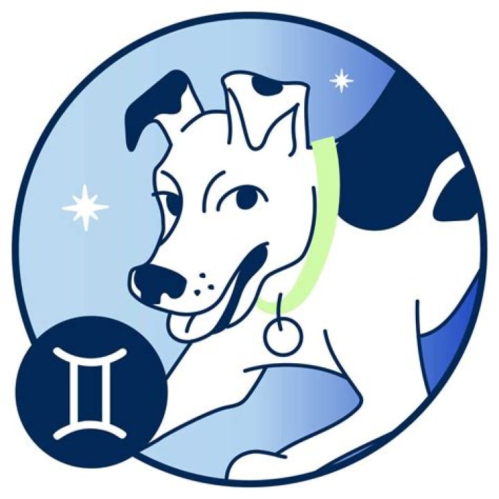 Discover the Secrets of June 20th Gemini: A Guide to Your Cosmic Traits and Destiny