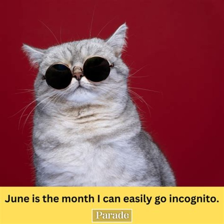 June 9 Zodiac Sign: Discover the Traits and Secrets of Gemini