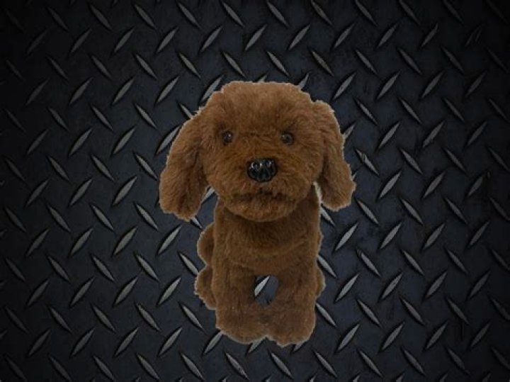 Discovering the World of K9Dolls: A Unique Blend of Art and Canine Love