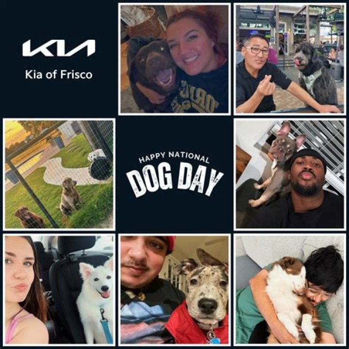 Kiaoffrisco: Exploring the Phenomenon and Its Impact