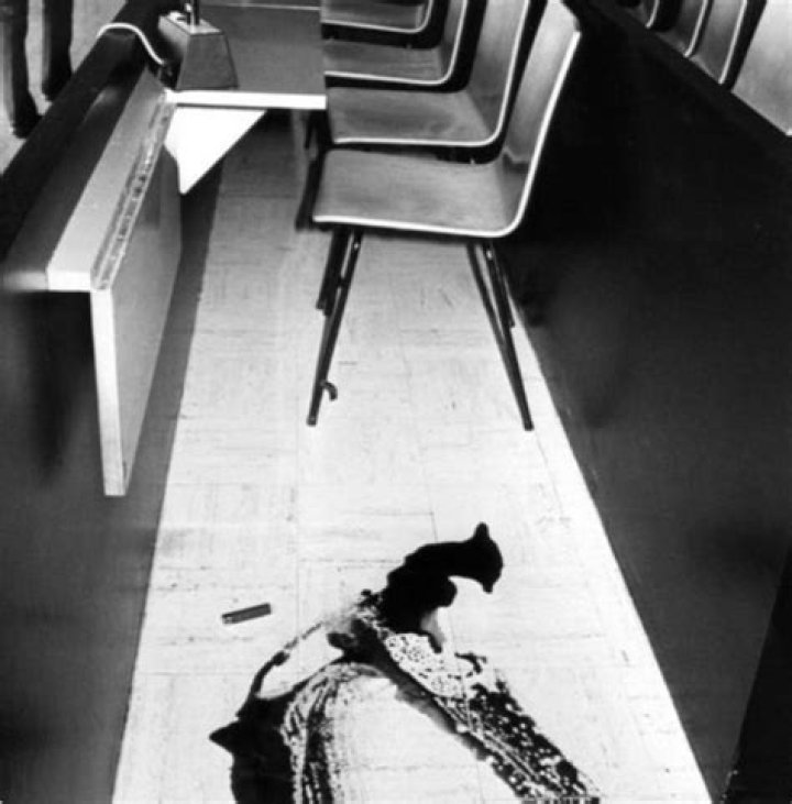 Klaus Grabowski: A Multifaceted Journey Through Innovation and Artistry