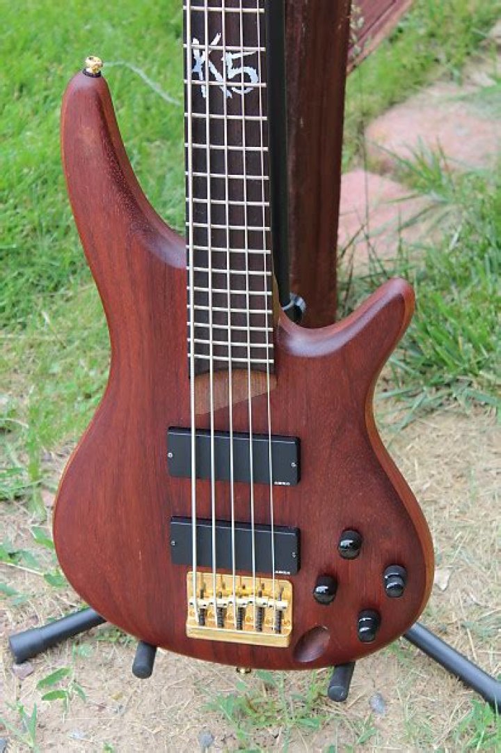 Korn Fieldy Bass Guitar: A Comprehensive Guide to the Iconic Instrument