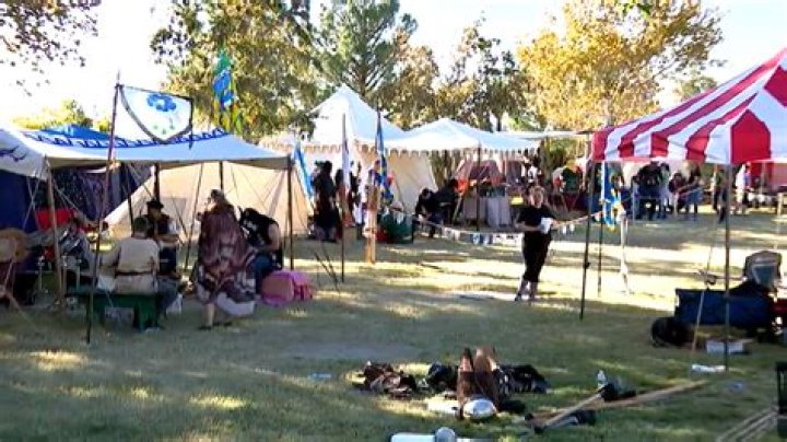 Las Cruces Renaissance Fair: A Journey Through Time and Culture