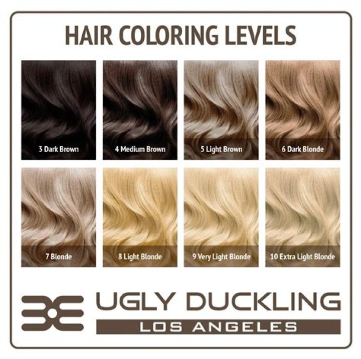 Understanding Level 6 Hair: A Comprehensive Guide to Color and Care