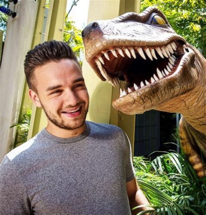 Exploring the Fascinating Connection between Liam Payne and Dinosaurs