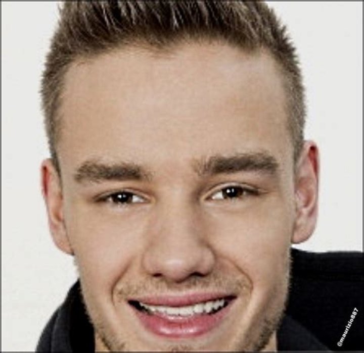 Liam Payne Forks: The Multifaceted Journey of a Pop Icon