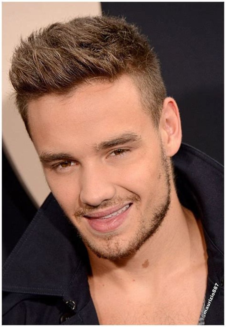 Unveiling the Charm of Liam Payne's Hairy Chest