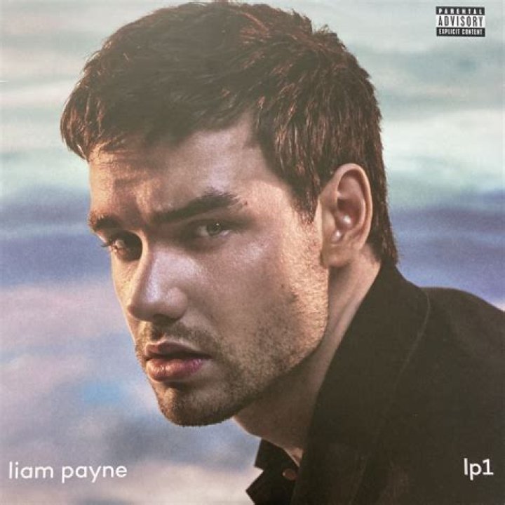 Liam Payne's LP1: The Definitive Wiki