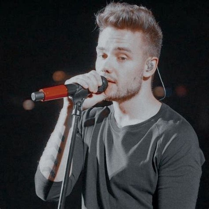 Unveiling the Sound: The Story Behind Liam Payne's Microphone