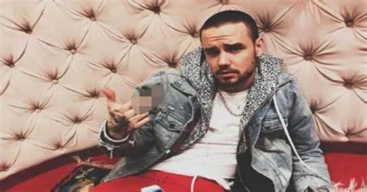 Liam Payne's Luxurious Life: A Glimpse into His Private Jet Experience
