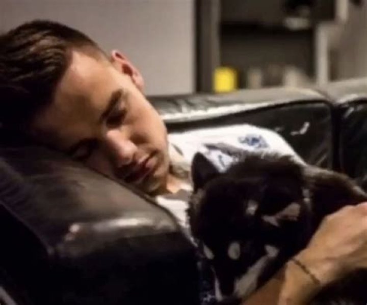 Liam Payne's Sleep Chronicles: A Look into the Life of a Star