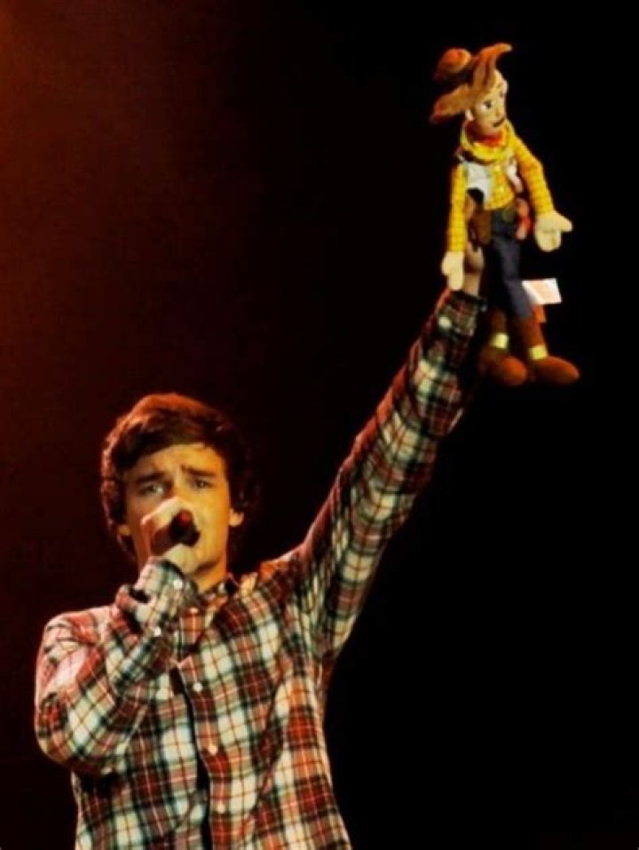 Liam Payne's Toy Story: A Journey Through Music and Imagination