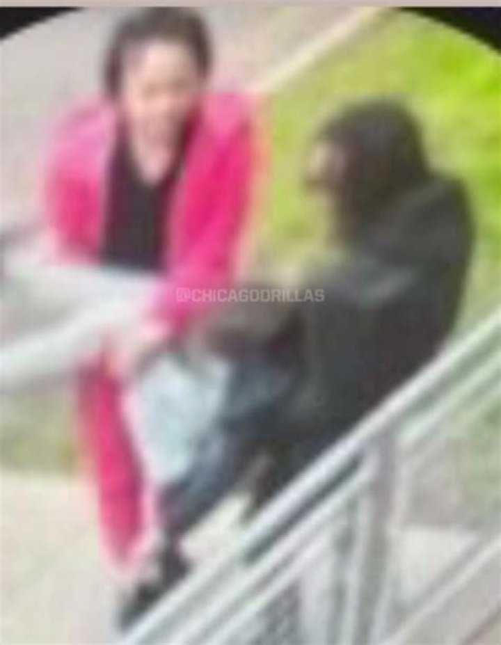 Lil Jeff Dead Body: Unraveling the Truth Behind the Headlines