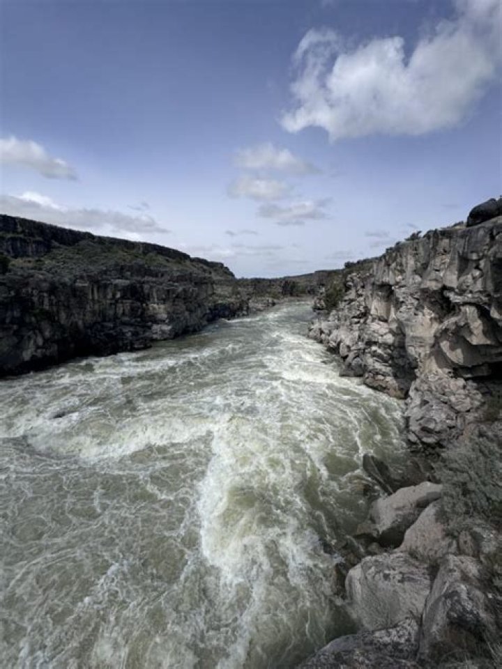 Linn Farran: The Ultimate Tour Guide Experience