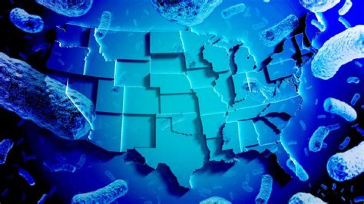 Listeria Outbreak 2024: Understanding the Risks and Prevention Strategies