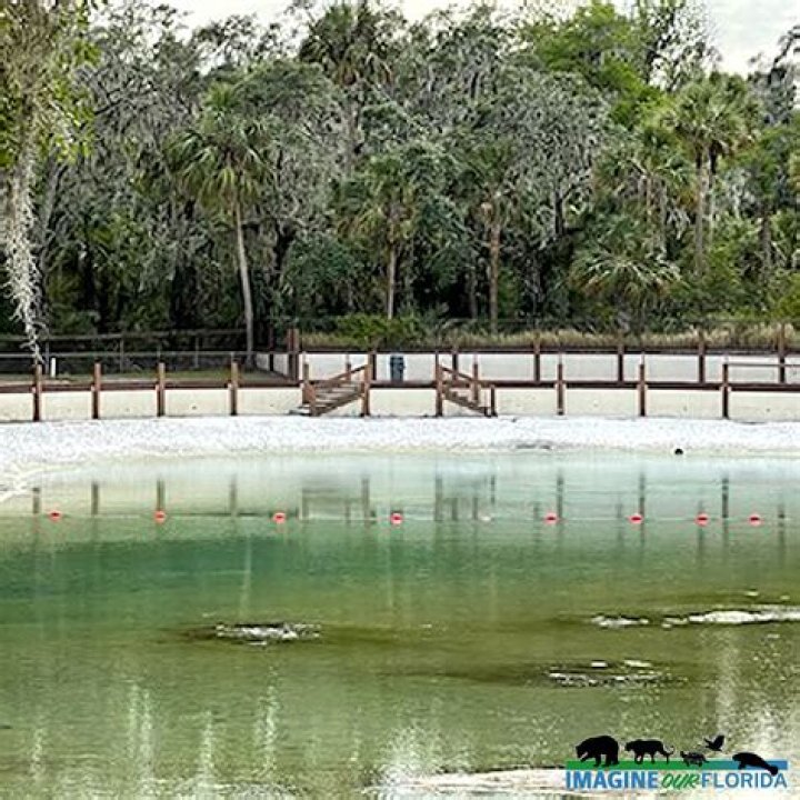 Lithia Springs: A Hidden Gem of Natural Wonders