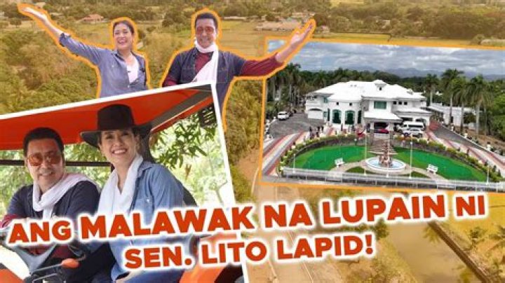 Lito Lapid's Wife in 2024: Everything You Need to Know