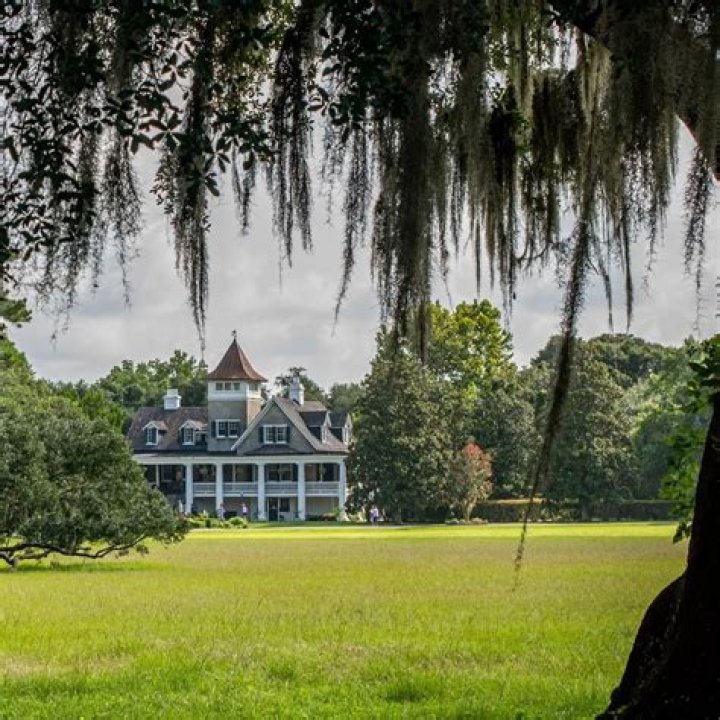 Magnolia Plantation in Charleston: A Journey Through History and Beauty
