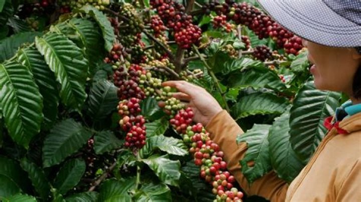 Masa49.com: Your Ultimate Guide to Online Learning and Development