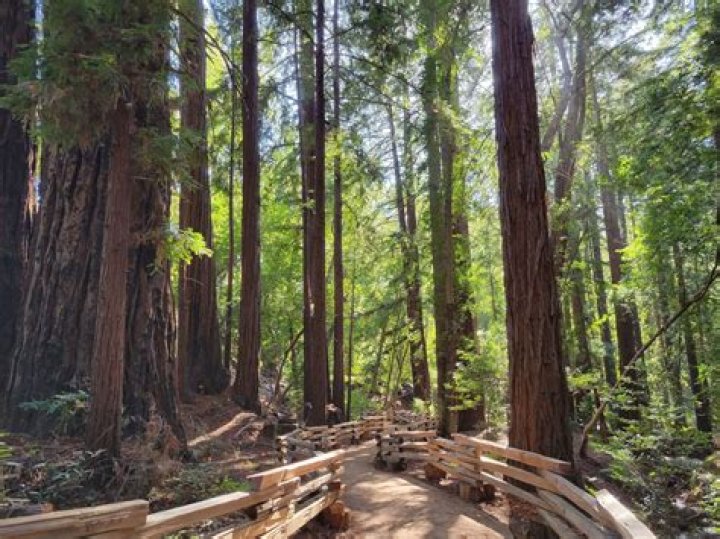 Massey Big Sur Park: A Comprehensive Guide to Exploring Nature's Paradise