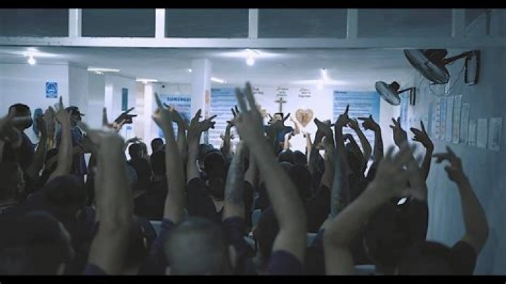 Exploring the Meaning and Popularity of "Me La Pela Poquito Lyrics"