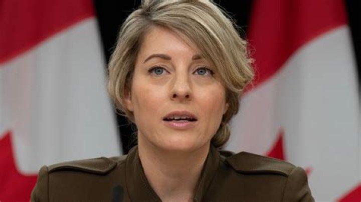 Unveiling the Life of Melanie Joly's Conjoint