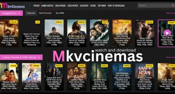 Discovering the World of MKVCinemas: Your Ultimate Movie Haven