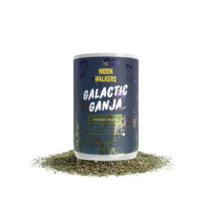 Exploring the Legacy of Moon Walkers: Humanity's Journey Beyond Earth