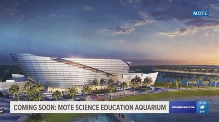 Mote Marine Laboratory and Aquarium Sarasota: A Gateway to Marine Wonders