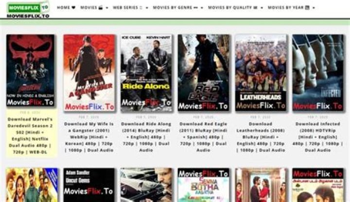 Everything You Need to Know About MoviezFlix: The Ultimate Streaming Experience