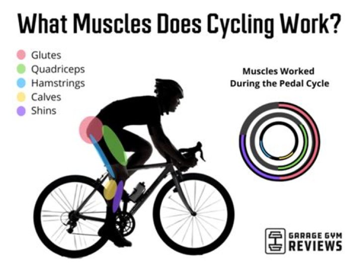 Cycling Muscles: Understanding the Key Muscles Used in Cycling