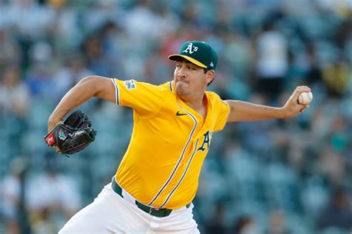 My Dasi Net: The Ultimate Guide to Understanding and Utilizing This Innovative Platform