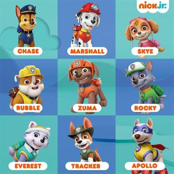 Names of the Dogs from Paw Patrol: Meet the Courageous Canine Crew