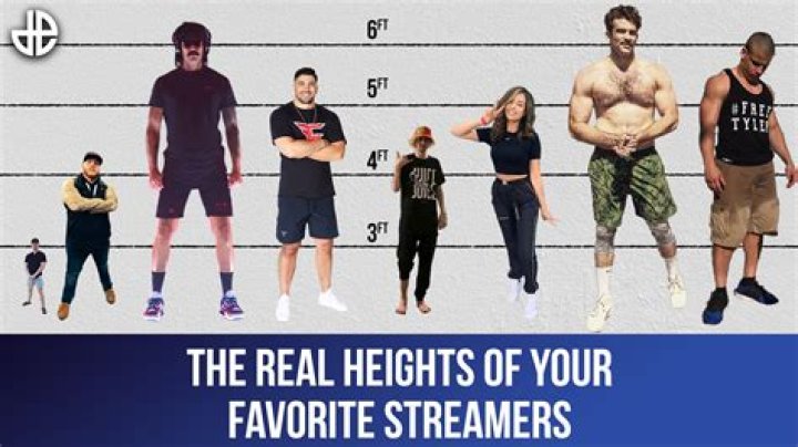 Neon Streamer Height in Feet: The Ultimate Height Guide