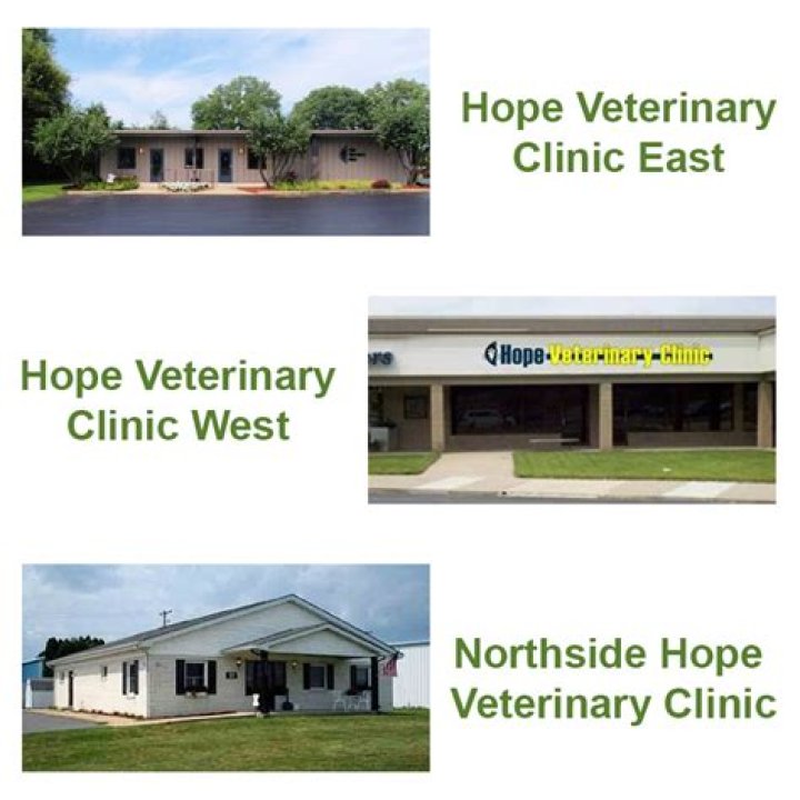 New Hope Vet PA: Your Trusted Companion for Pet Health and Wellness